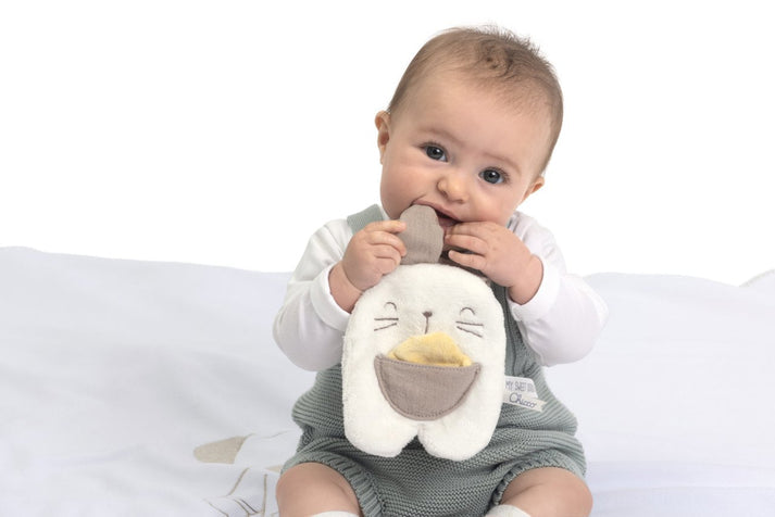 Chicco Pocket Bunny Dou Dou