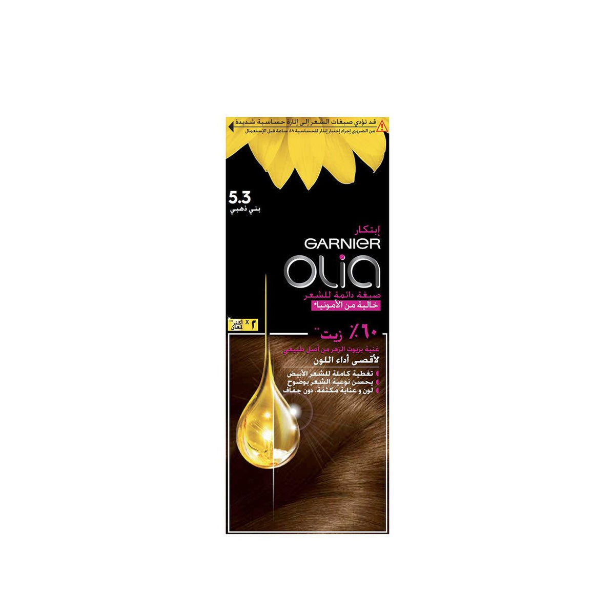 Garnier Olia Ammonia-Free Hair Brown