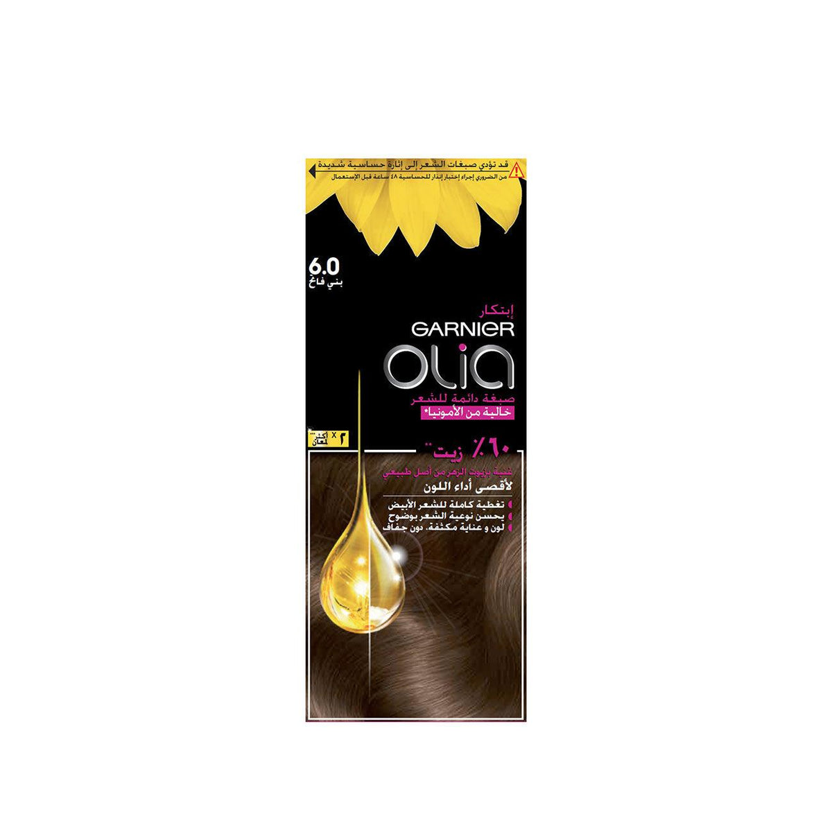 Garnier Olia Ammonia-Free Hair Brown