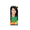 Garnier Color Naturals - Black