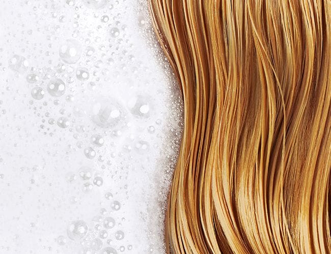 Softness Shampoo