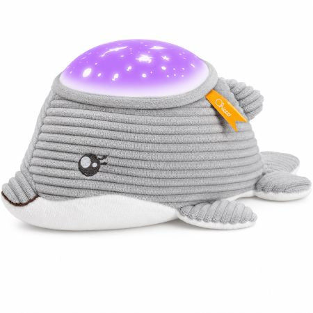 Goodnight Dolphin