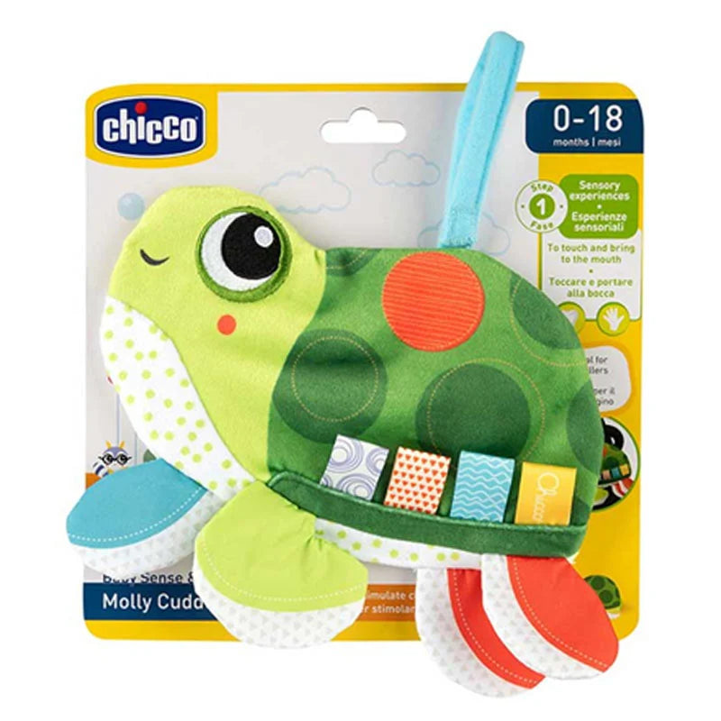 Molly Cuddly Turtle